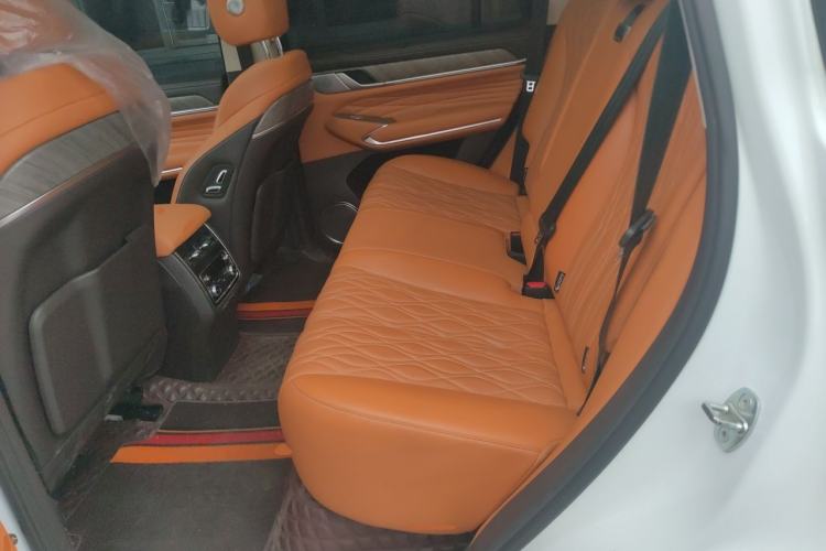 Used Tank 500 2022 3.0T Business Edition "Creation Realm" Design 5-Seater Left Rear Seat