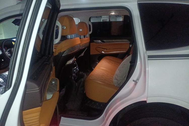Used Tank 500 2022 3.0T Sport Edition "Creation" Version 5-Seater Left Rear Seat