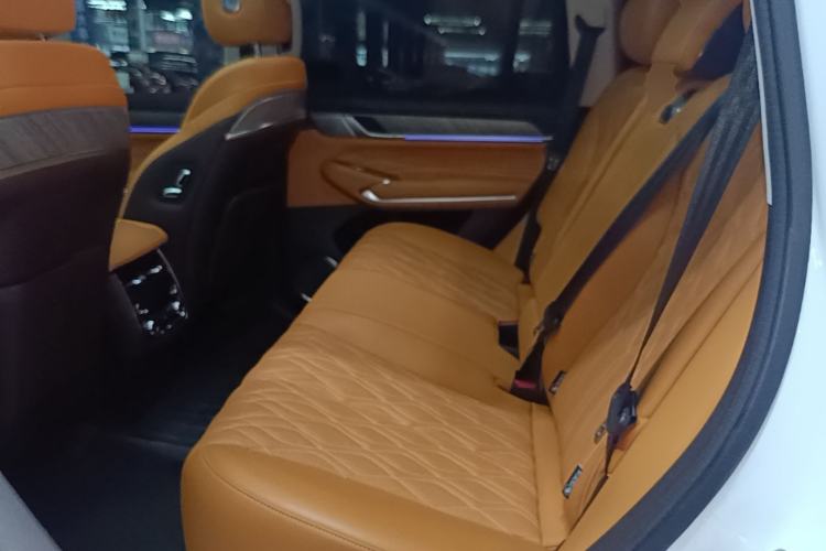 Used Tank 500 2022 3.0T Sport Edition "Creation" Version 5-Seater Left Rear Seat