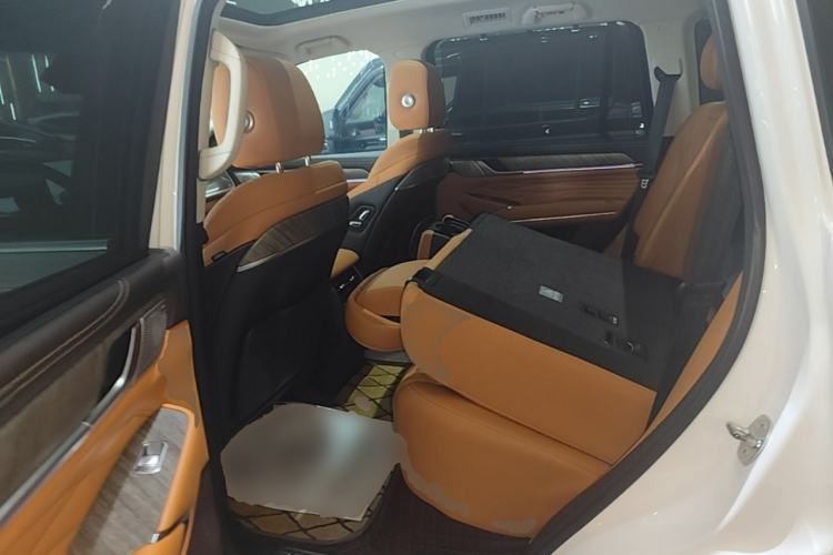 Used Tank 500 2022 3.0T Sport Edition "Creation" Version 5-Seater Left Rear Seat