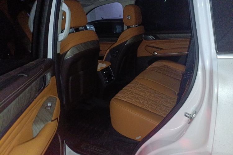 Used Tank 500 2022 3.0T Sport Edition "Creation" Version 5-Seater Left Rear Seat