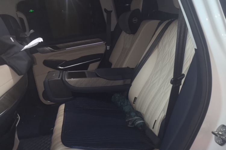 Used Tank 500 2022 3.0T Sport Edition "Creation" Version 5-Seater Left Rear Seat