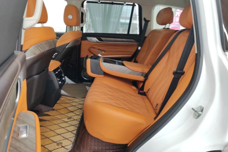 Used Tank 500 2022 3.0T Sport Edition "Creation" Version 5-Seater Left Rear Seat