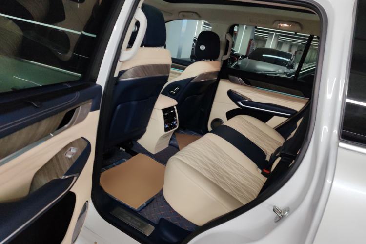 Used Tank 500 2022 3.0T Sport Edition "Creation" Version 5-Seater Left Rear Seat