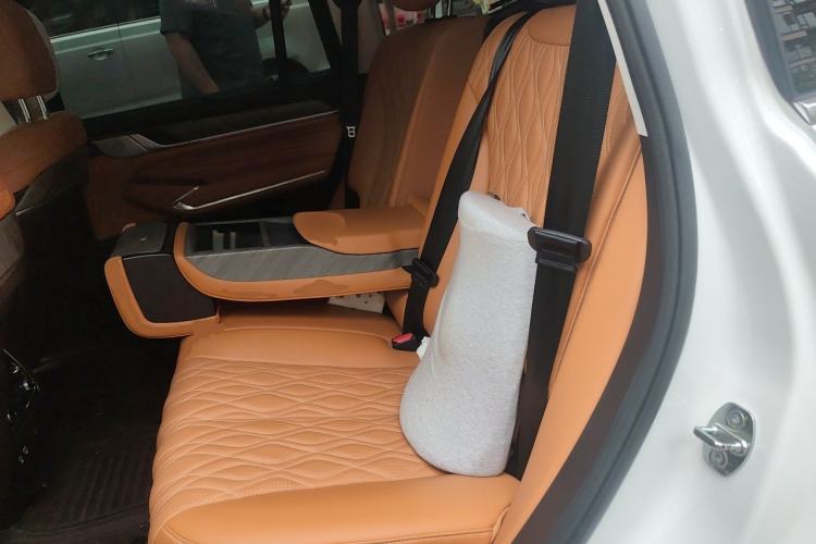 Used Tank 500 2022 3.0T Business Edition "Creation Realm" Design 5-Seater Left Rear Seat