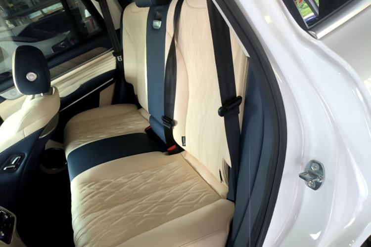 Used Tank 500 2022 3.0T Sport Edition "Creation" Version 5-Seater Left Rear Seat