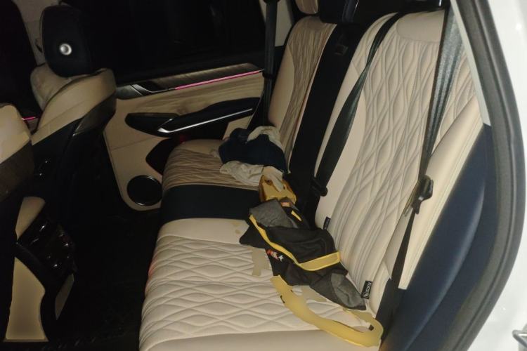 Used Tank 500 2022 3.0T Business Edition "Creation Realm" Design 5-Seater Left Rear Seat