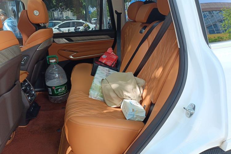 Used Tank 500 2022 3.0T Sport Edition "Creation" Version 5-Seater Left Rear Seat