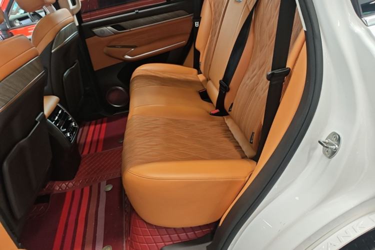 Used Tank 500 2022 3.0T Sport Edition "Creation" Version 5-Seater Left Rear Seat