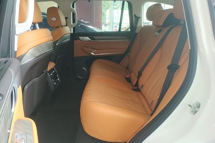 Used Tank 500 2022 3.0T Sport Edition "Creation" Version 5-Seater Left Rear Seat