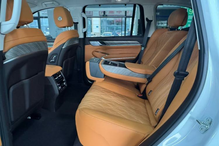 Used Tank 500 2022 3.0T Sport Edition "Creation" Version 5-Seater Left Rear Seat