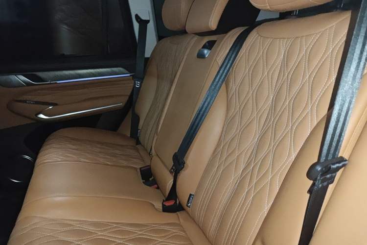 Used Tank 500 2022 3.0T Business Edition "Creation Realm" Design 5-Seater Left Rear Seat