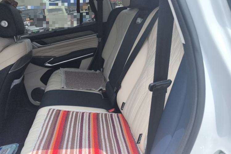 Used Tank 500 2022 3.0T Sport Edition "Creation" Version 5-Seater Left Rear Seat