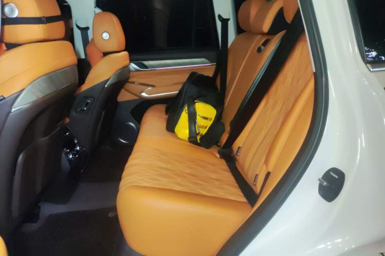 Used Tank 500 2022 3.0T Sport Edition "Creation" Version 5-Seater Left Rear Seat