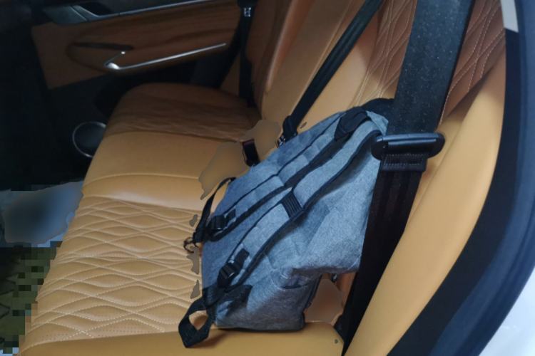 Used Tank 500 2022 3.0T Sport Edition "Creation" Version 5-Seater Left Rear Seat