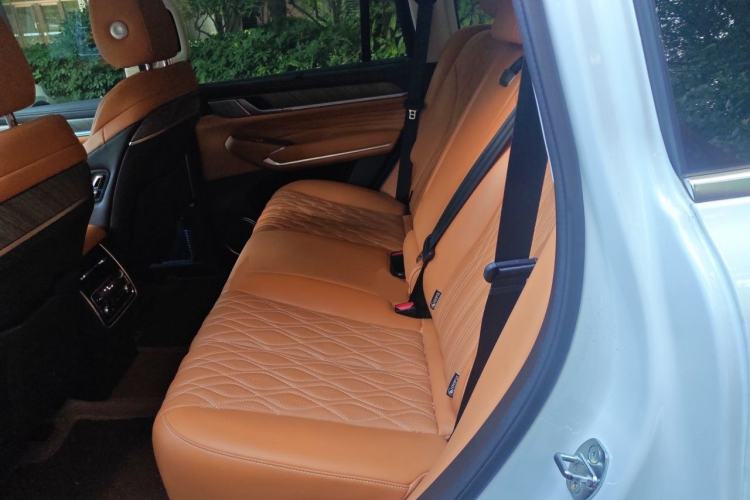 Used Tank 500 2022 3.0T Business Edition "Creation Realm" Design 5-Seater Left Rear Seat