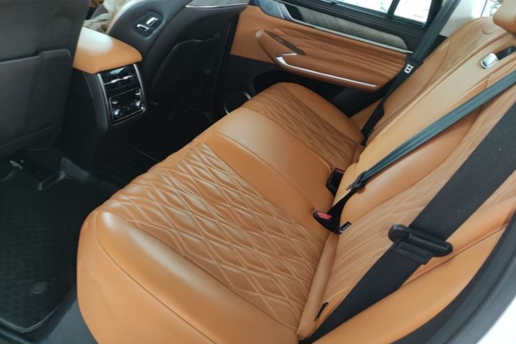 Used Tank 500 2022 3.0T Business Edition "Creation Realm" Design 5-Seater Left Rear Seat