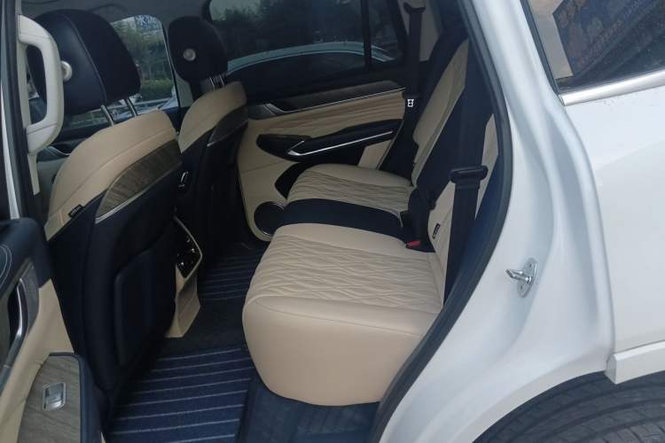 Used Tank 500 2022 3.0T Sport Edition "Creation" Version 5-Seater Left Rear Seat