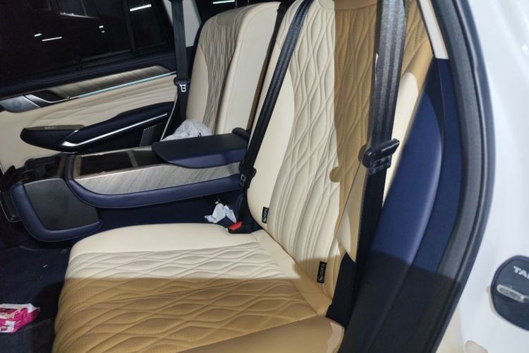 Used Tank 500 2022 3.0T Sport Edition "Creation" Version 5-Seater Left Rear Seat