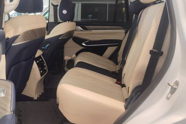 Used Tank 500 2022 3.0T Sport Edition "Creation" Style 7 Seats Left Rear Seat
