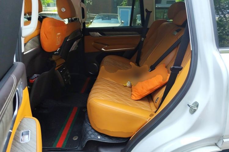 Used Tank 500 2022 3.0T Sport Edition "Creation" Version 5-Seater Left Rear Seat