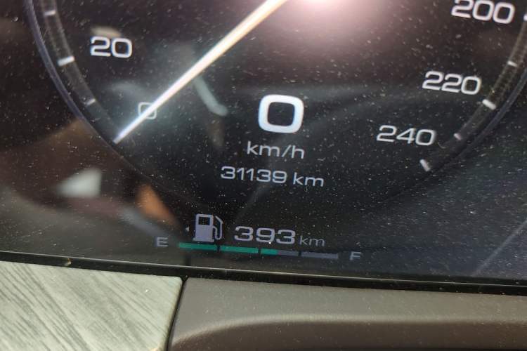 Used Tank 500 2022 3.0T Business Edition "Creation Realm" Design 5-Seater Odometer Close Up