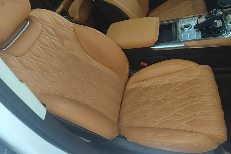 Used Tank 500 2022 3.0T Sport Edition "Creation" Version 5-Seater Right Front Seat