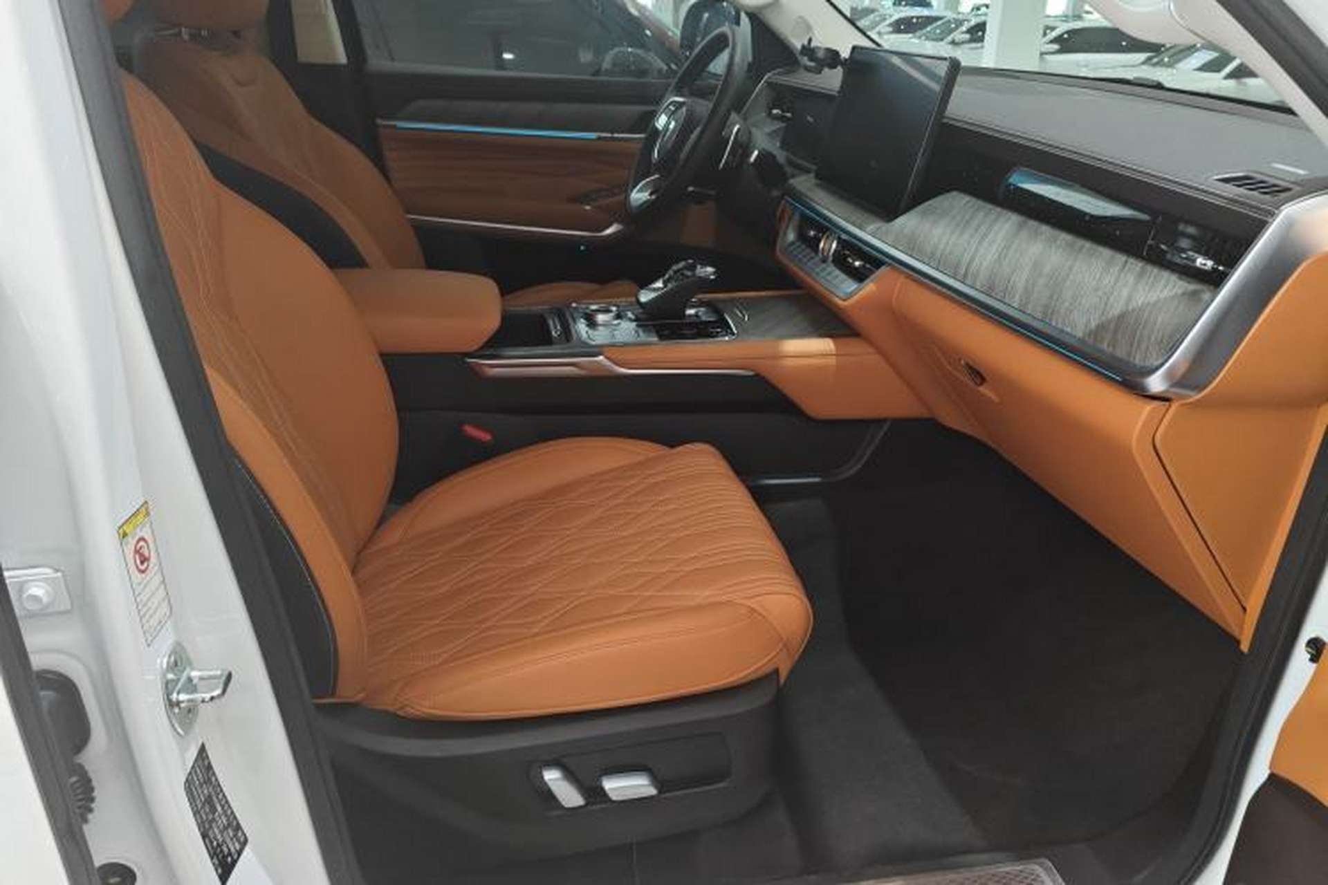 Used Tank 500 2022 3.0T Business Edition "Creation Realm" Design 5-Seater Right Front Seat