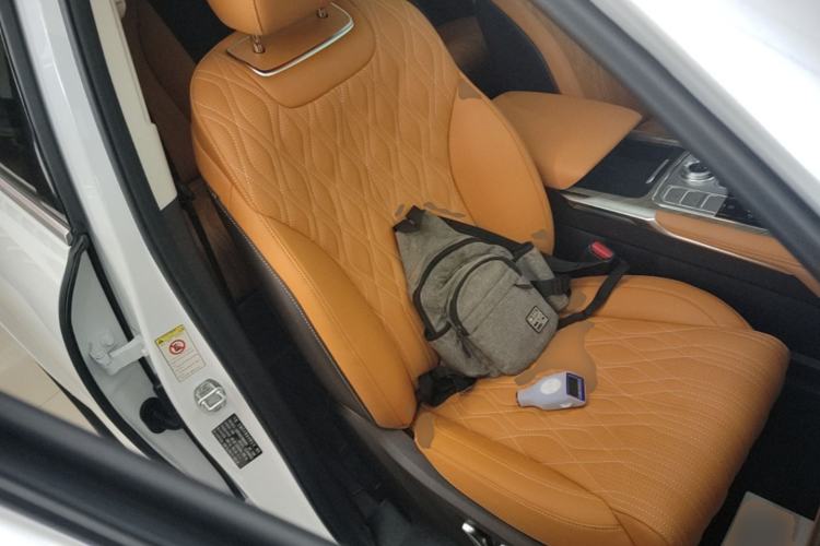 Used Tank 500 2022 3.0T Sport Edition "Creation" Version 5-Seater Right Front Seat