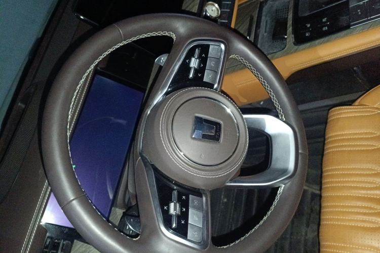 Used Tank 500 2022 3.0T Sport Edition "Creation" Version 5-Seater Steering Wheel