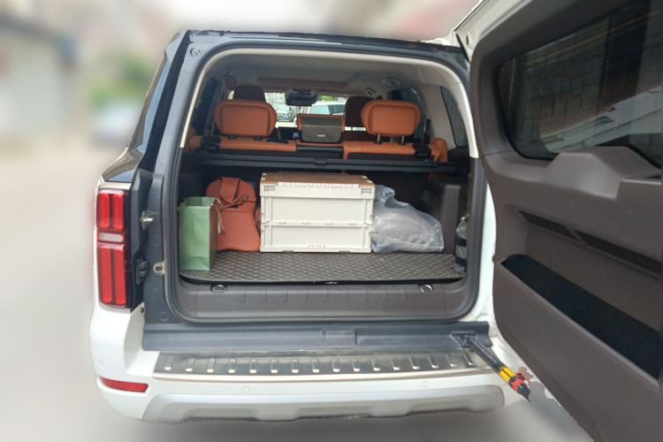 Used Tank 500 2022 3.0T Business Edition "Creation Realm" Design 5-Seater Trunk