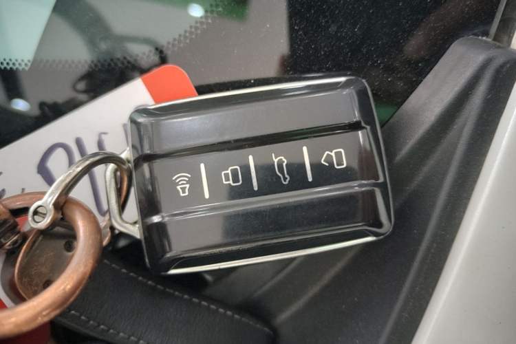Used Tank 500 2022 3.0T Sport Edition "Creation" Version 5-Seater Vehicle Key