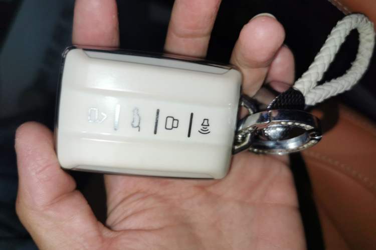 Used Tank 500 2022 3.0T Sport Edition "Creation" Version 5-Seater Vehicle Key