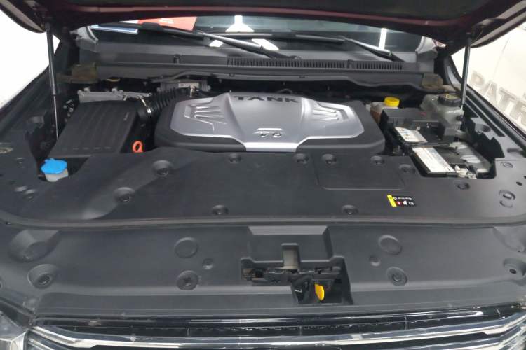 Used Tank 500 2022 3.0T High-End Custom Edition 5 Seats Engine Bay
