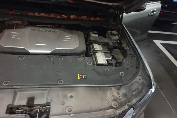 Used Tank 500 2022 3.0T Business Edition "Creation Realm" Design 5-Seater Engine Bay Left