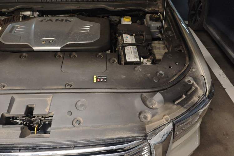 Used Tank 500 2022 3.0T Business Edition "Creation Realm" Design 5-Seater Engine Bay Left