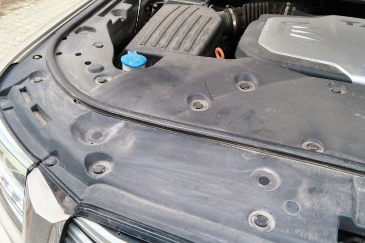 Used Tank 500 2022 3.0T Business Edition "Creation Realm" Design 5-Seater Engine Bay Right