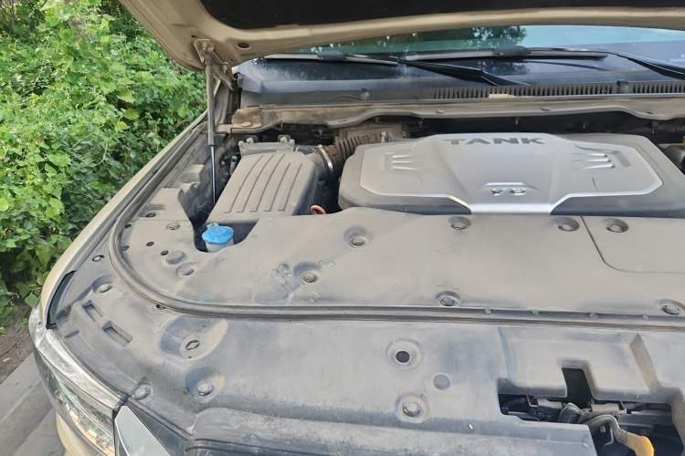 Used Tank 500 2022 3.0T Business Edition "Creation Realm" Design 5-Seater Engine Bay Right