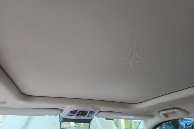 Used Tank 500 2022 3.0T Business Edition "Creation Realm" Design 5-Seater Headliner