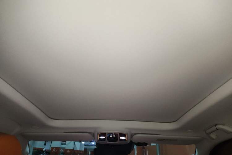 Used Tank 500 2022 3.0T Business Edition "Creation Realm" Design 5-Seater Headliner