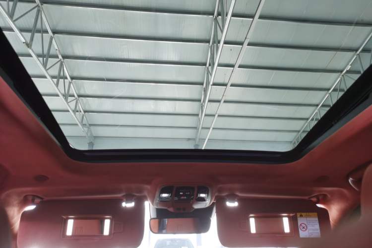 Used Tank 500 2022 3.0T High-End Custom Edition 5 Seats Headliner