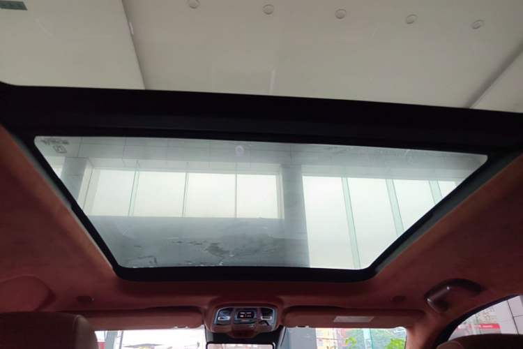 Used Tank 500 2022 3.0T High-End Custom Edition 5 Seats Headliner