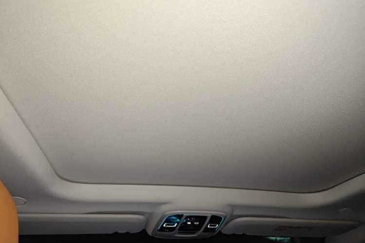 Used Tank 500 2022 3.0T Business Edition "Creation Realm" Design 5-Seater Headliner