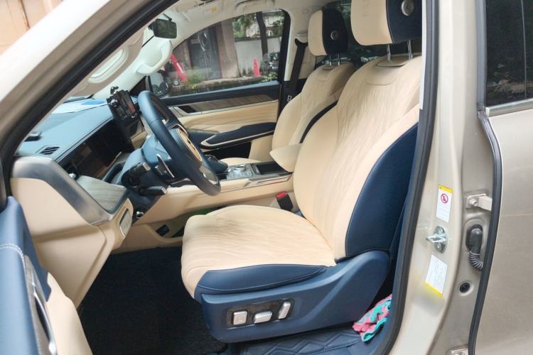 Used Tank 500 2022 3.0T Sport Edition "Creation" Version 5-Seater Left Front Seat