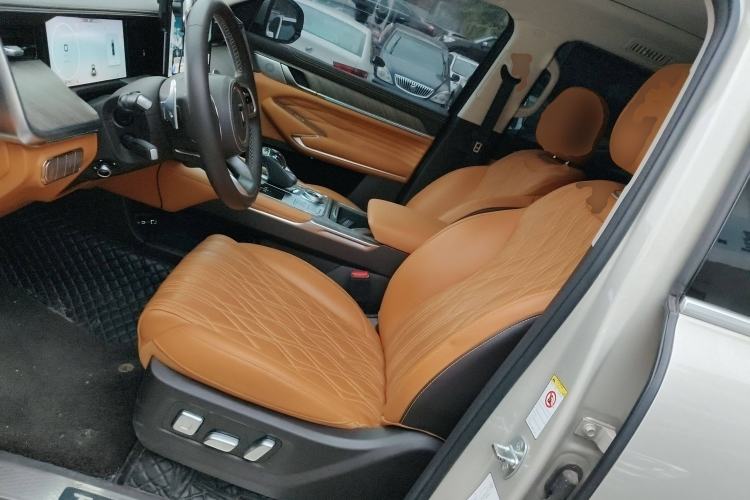 Used Tank 500 2022 3.0T Sport Edition "Creation" Version 5-Seater Left Front Seat