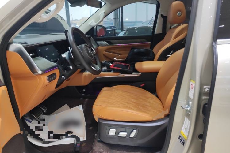 Used Tank 500 2022 3.0T Business Edition "Creation Realm" Design 5-Seater Left Front Seat