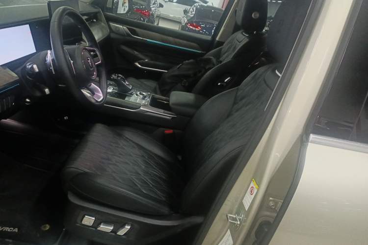 Used Tank 500 2022 3.0T Business Edition "Creation Realm" Design 5-Seater Left Front Seat