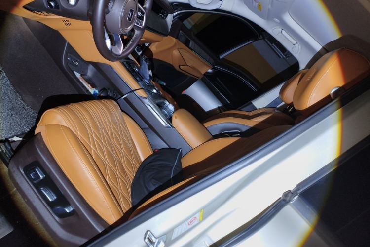 Used Tank 500 2022 3.0T Business Edition "Creation Realm" Design 5-Seater Left Front Seat