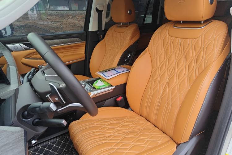 Used Tank 500 2022 3.0T Business Edition "Creation Realm" Design 5-Seater Left Front Seat