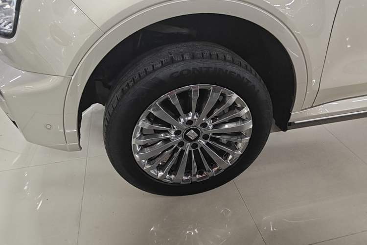 Used Tank 500 2022 3.0T High-End Custom Edition 5 Seats Left Front Wheel Hub